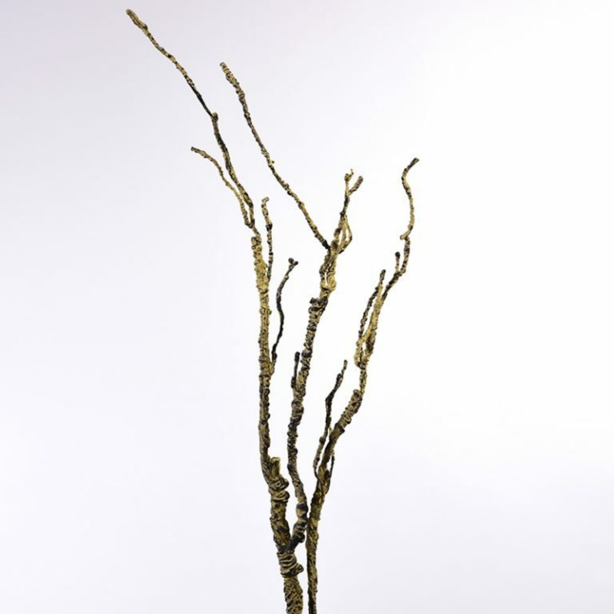 Gnarly Twiggy branch 70cm