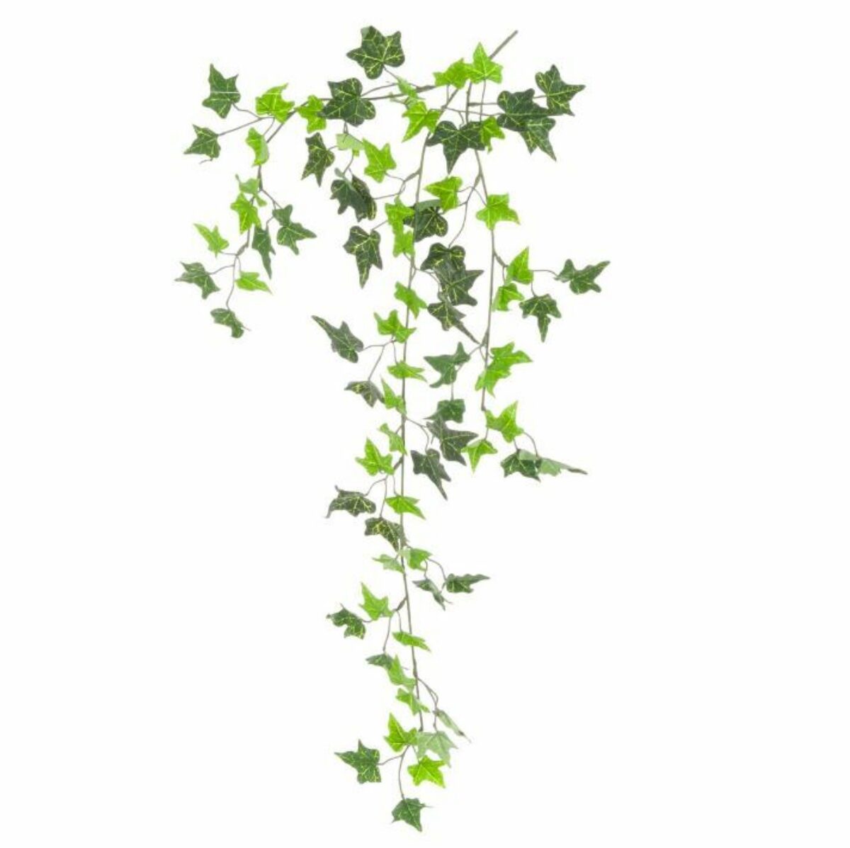 FR Needlepoint Ivy Trail