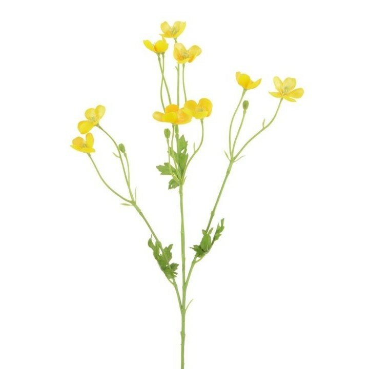 Buttercup Spray
