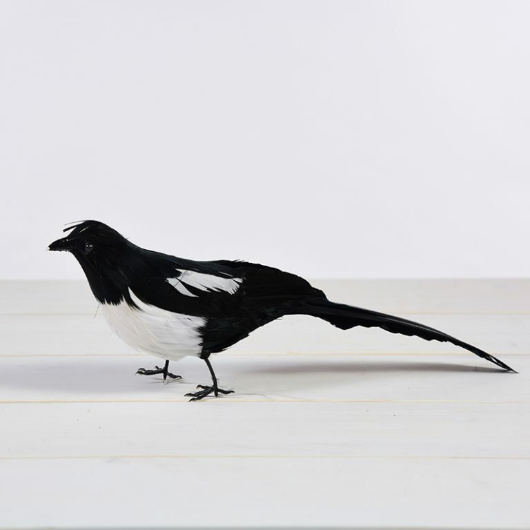 Feather Magpie