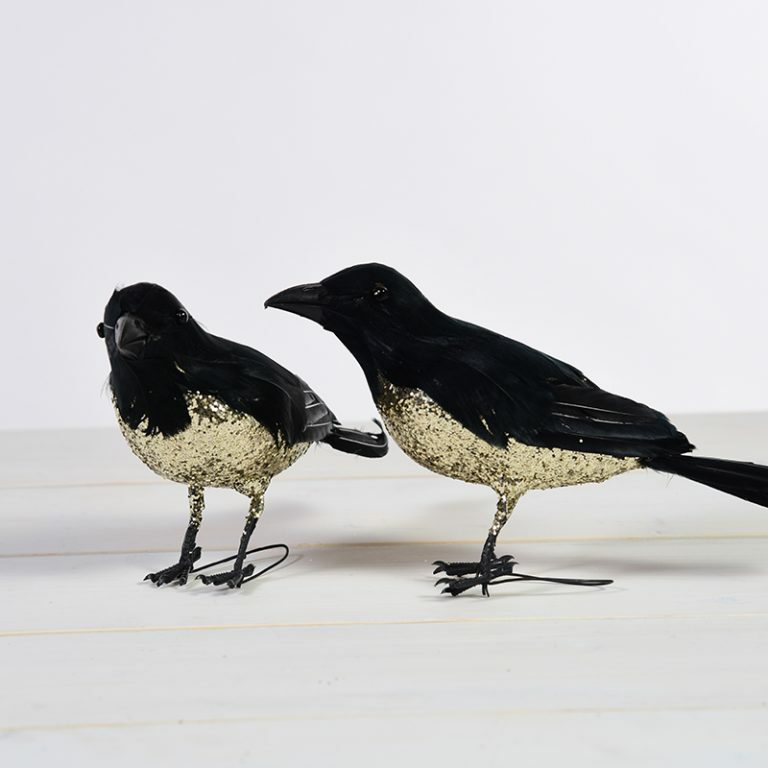 Gold Breasted Crows