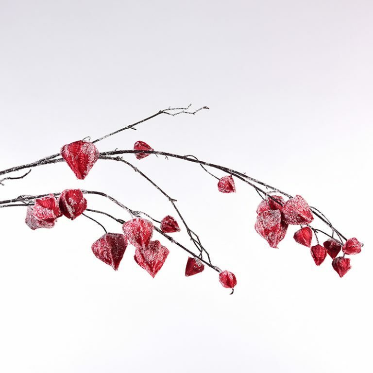 Frosted Chinese Red Lantern Stems