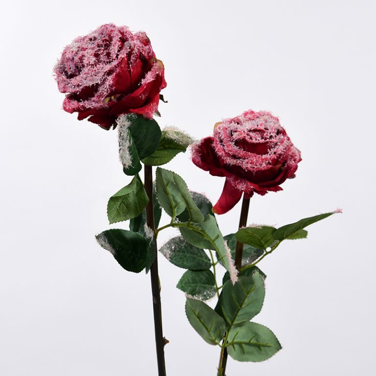 Frosted Red Rose Stems