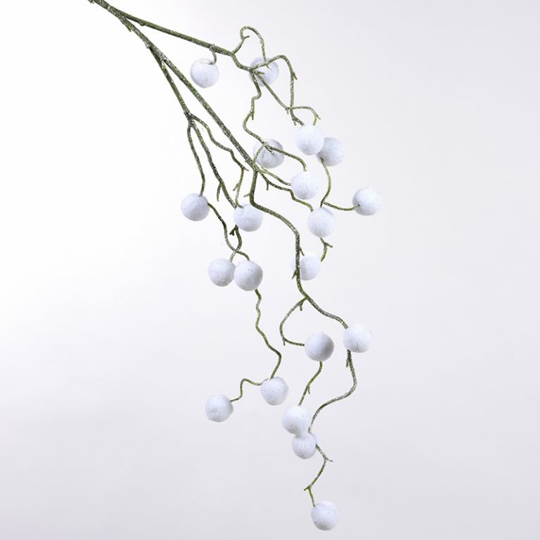 Snowball Branch