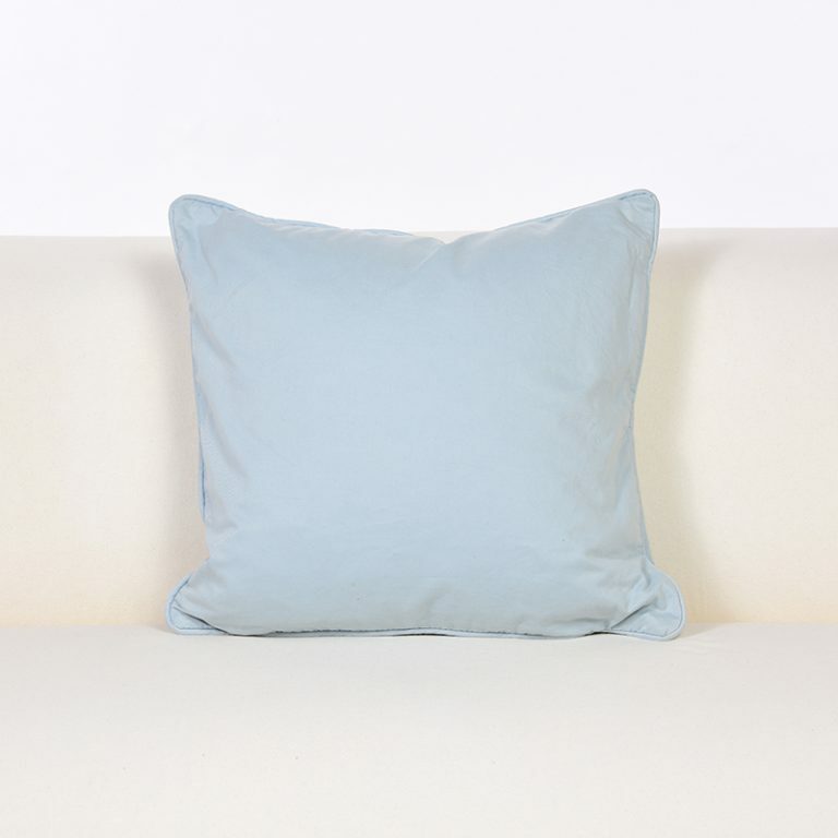 Duck Egg Blue Cushion