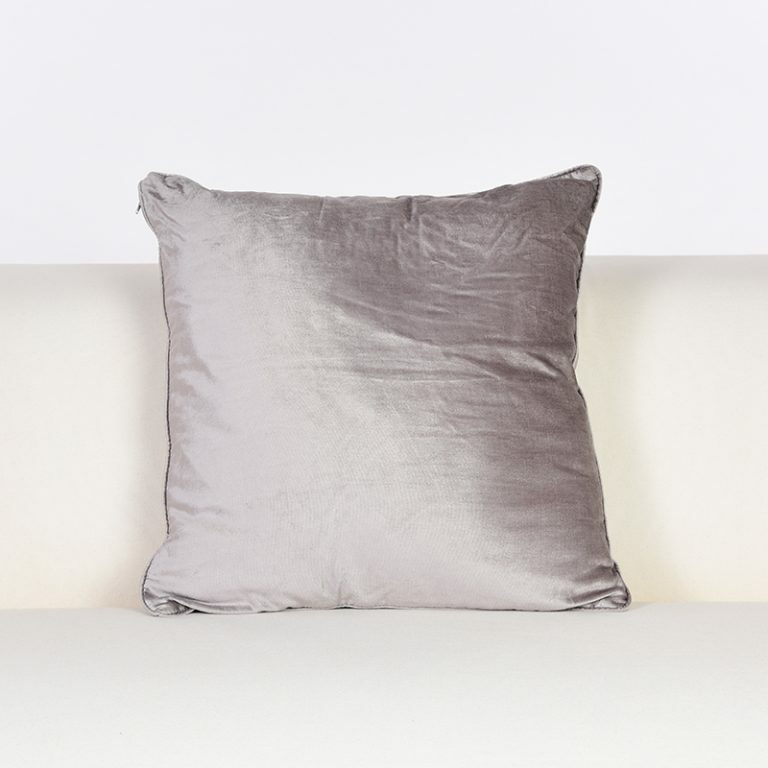 Silver Velvet Cushion