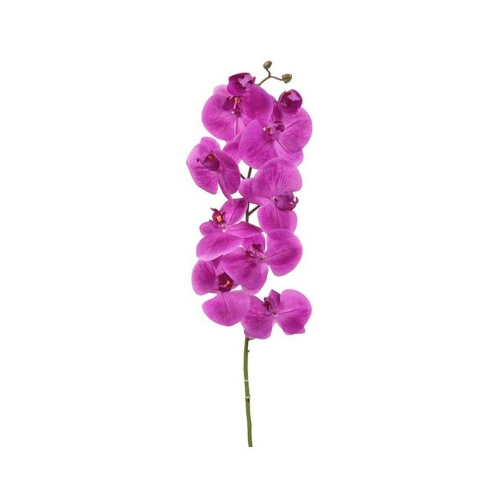Dark Pink Orchid