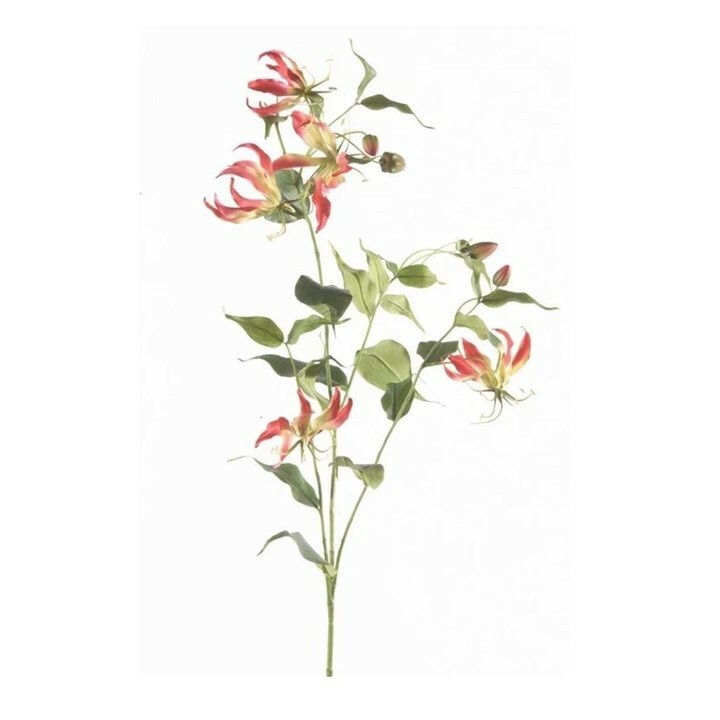 Gloriosa Spray in Fuschia