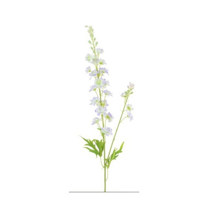 Lavender Larkspur