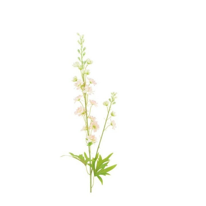 Larkspur