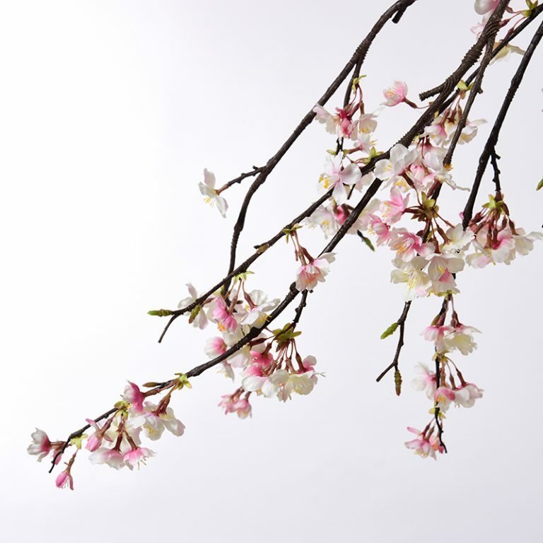 Pink Cherry Blossom Branch