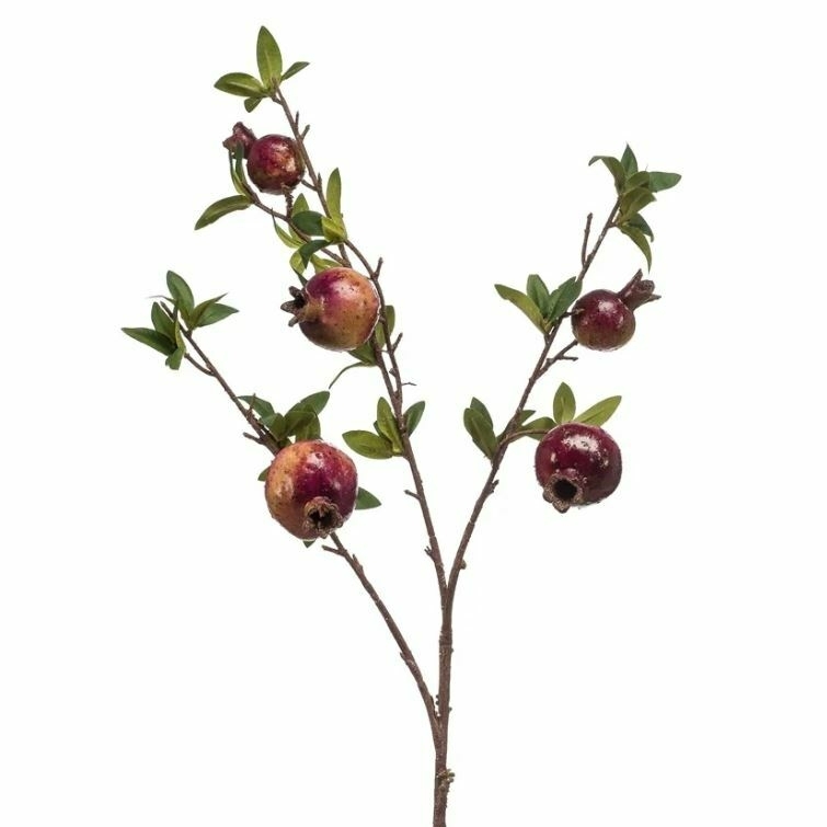 Pomegranate Spray in Purple