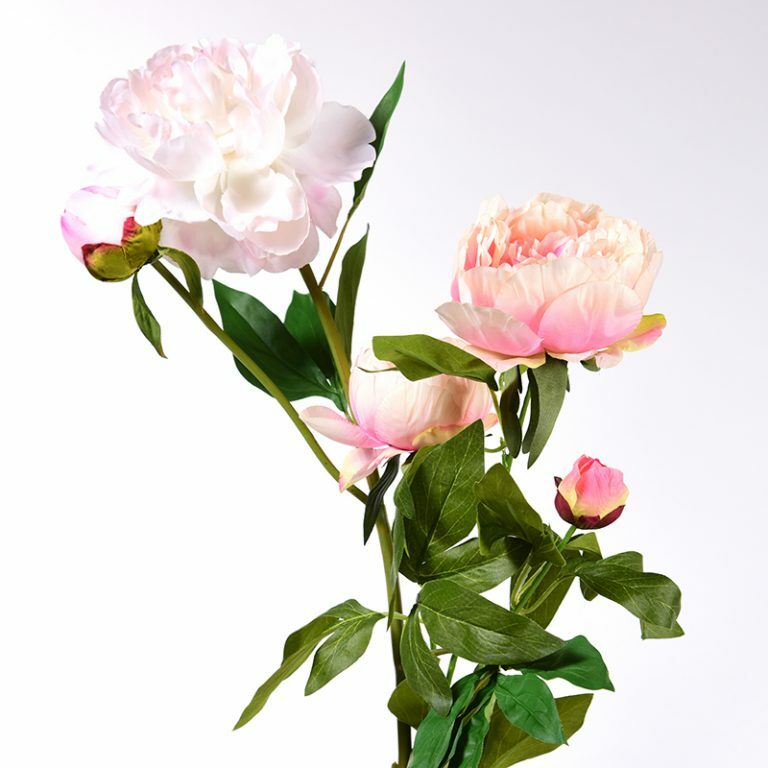 Soft Pink Peony Stem