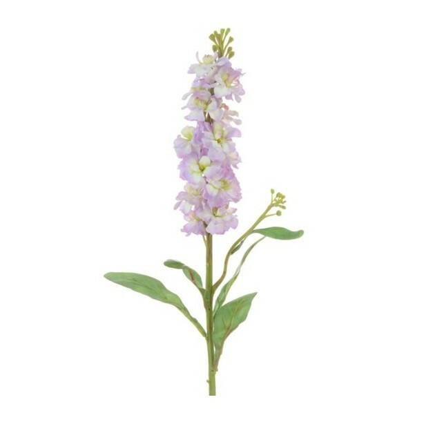 Stock Stem Lavender