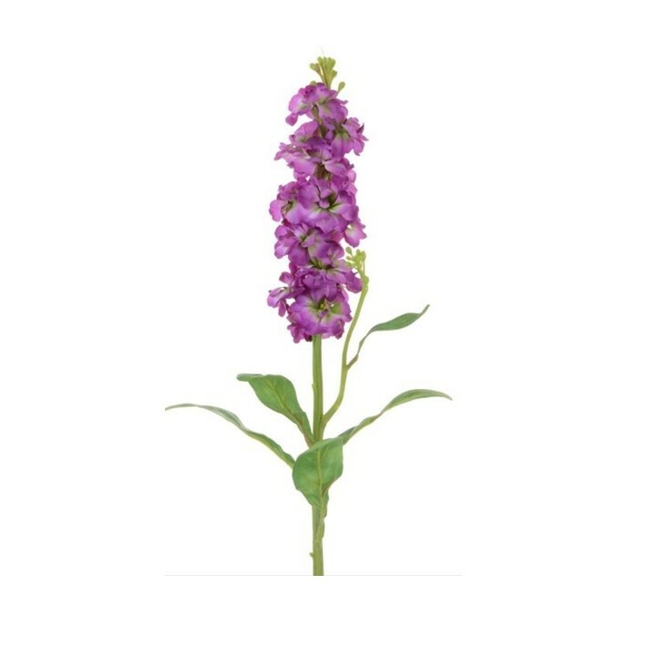 Stock Stem Purple Flowers
