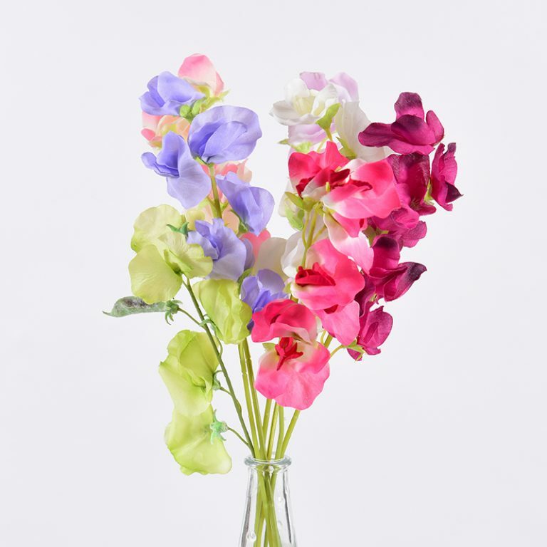 Sweet Pea Picks available in Cream, Pink, Mauve, Cornflower, Berry, Fuschia & Pistachio