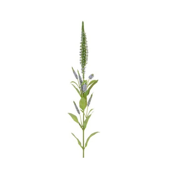 Veronica Lavender Stem