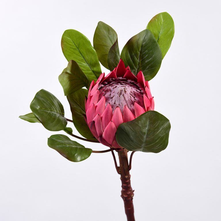 XL Red Protea Stem