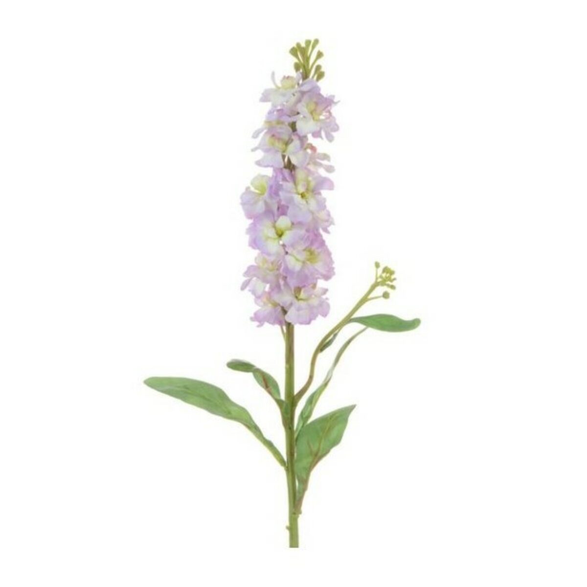 Stock Stem Lavender 66cm