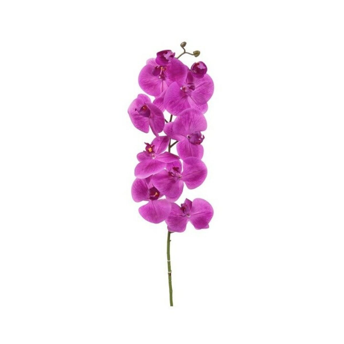 Dark Pink Orchid 115cm