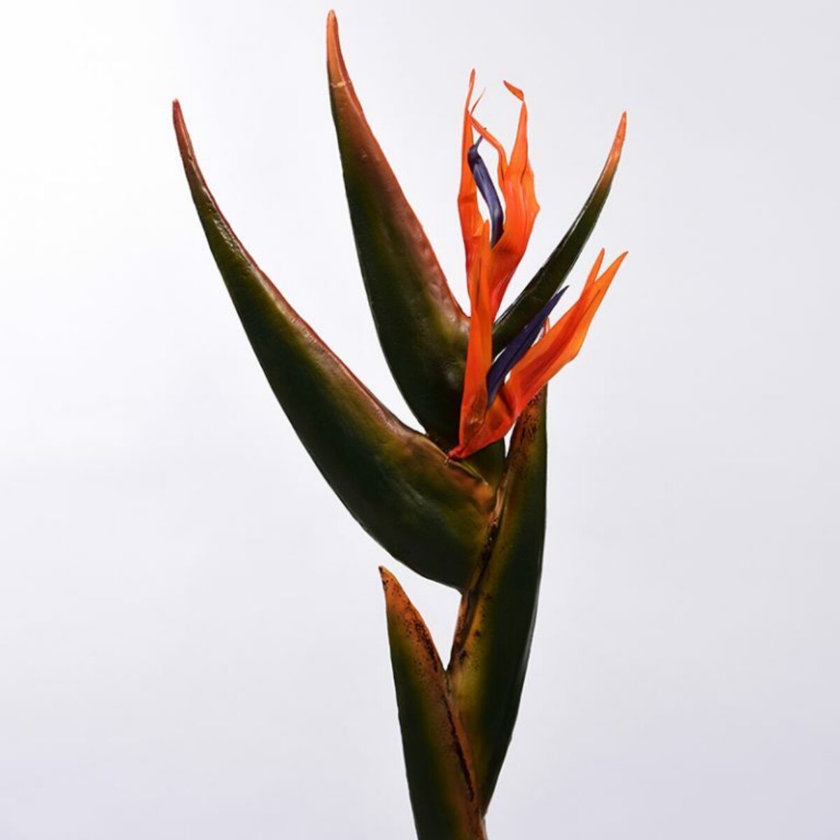 Bird of Paradise 95cm