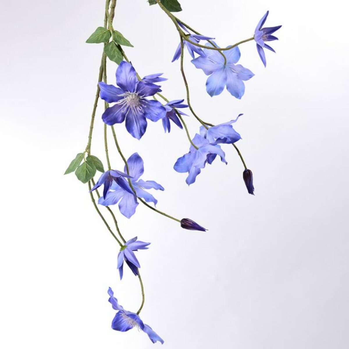 Blue Clematis Spray 120cm