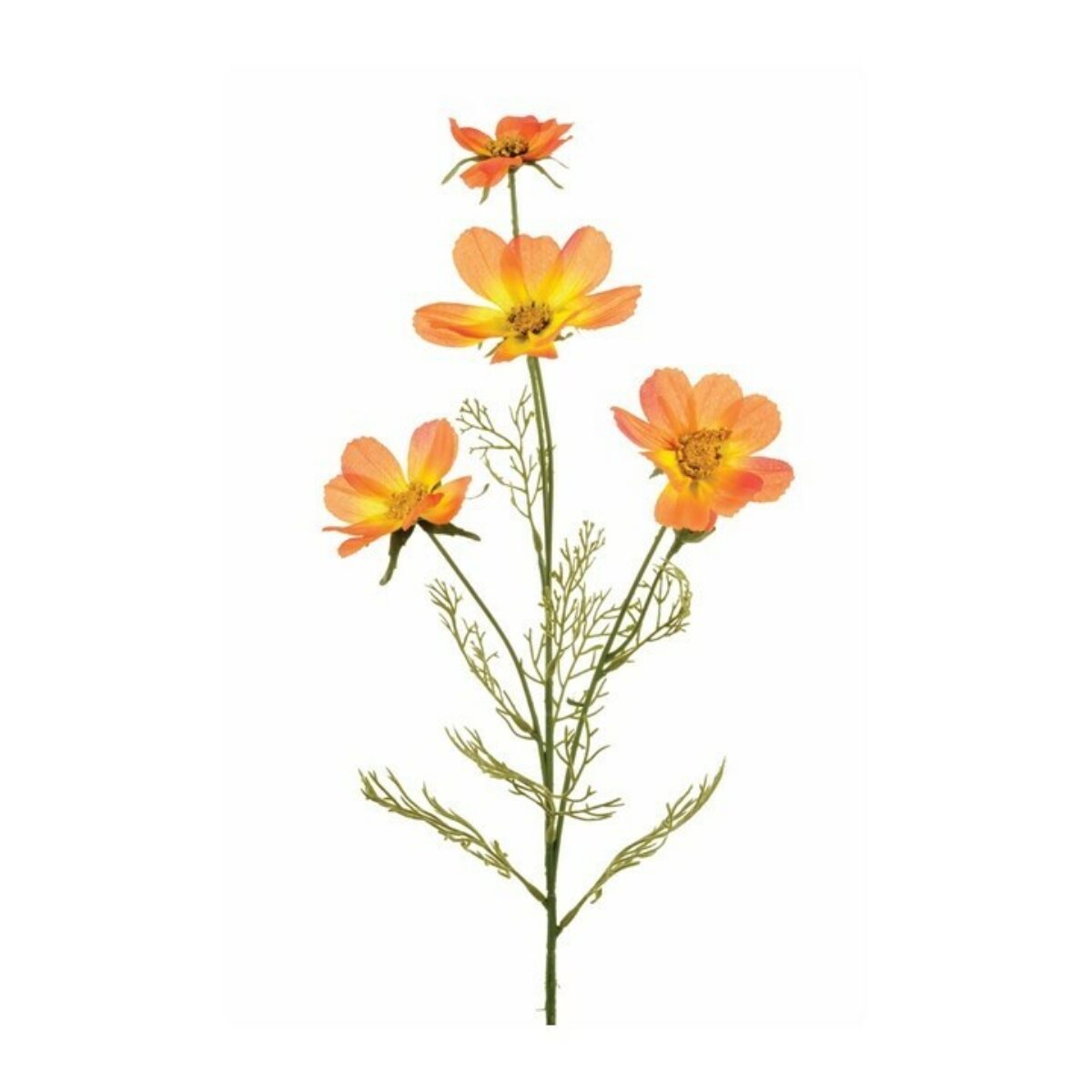 FS Cosmos Orange 11100 OR