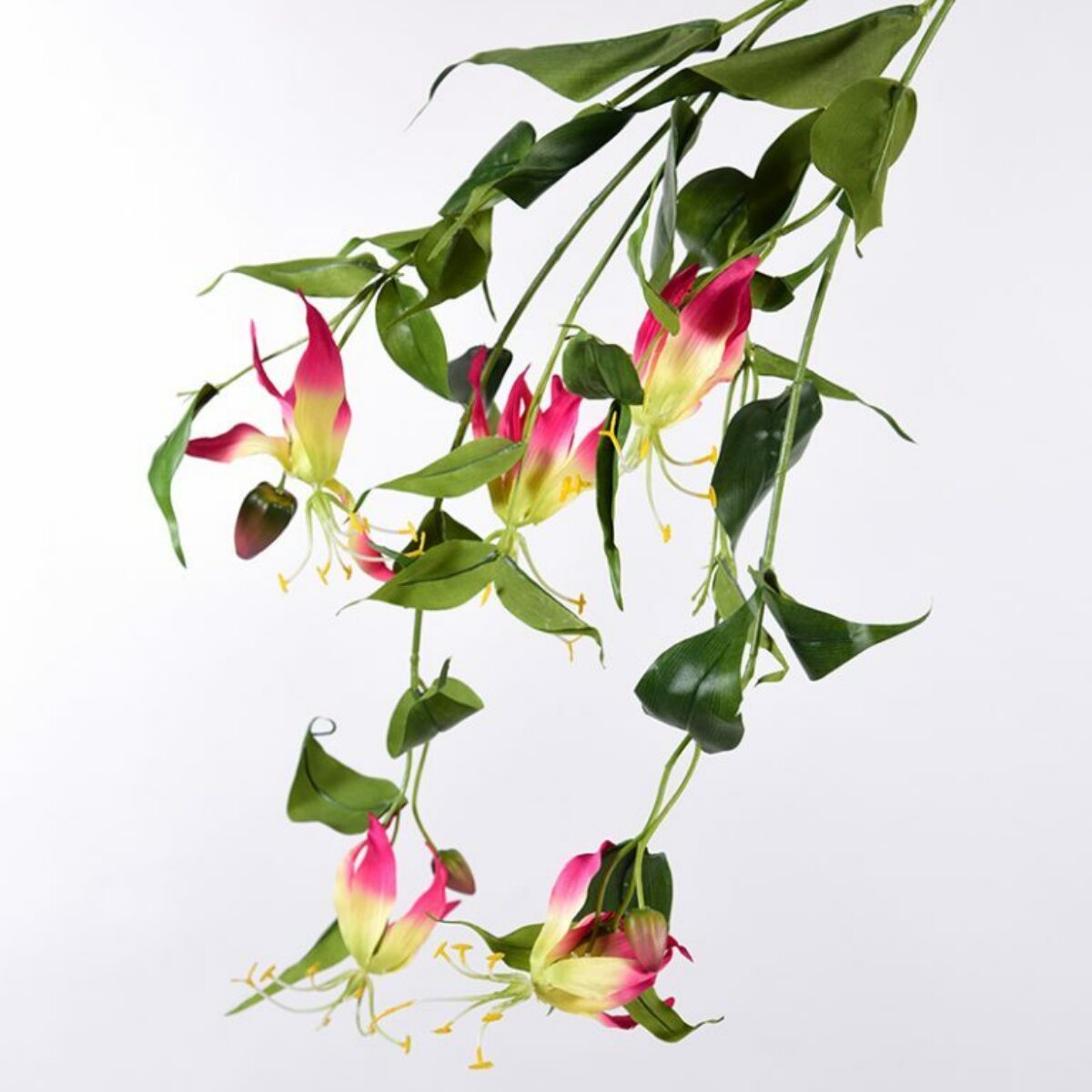 Gloriosa Lily Stems 95cm