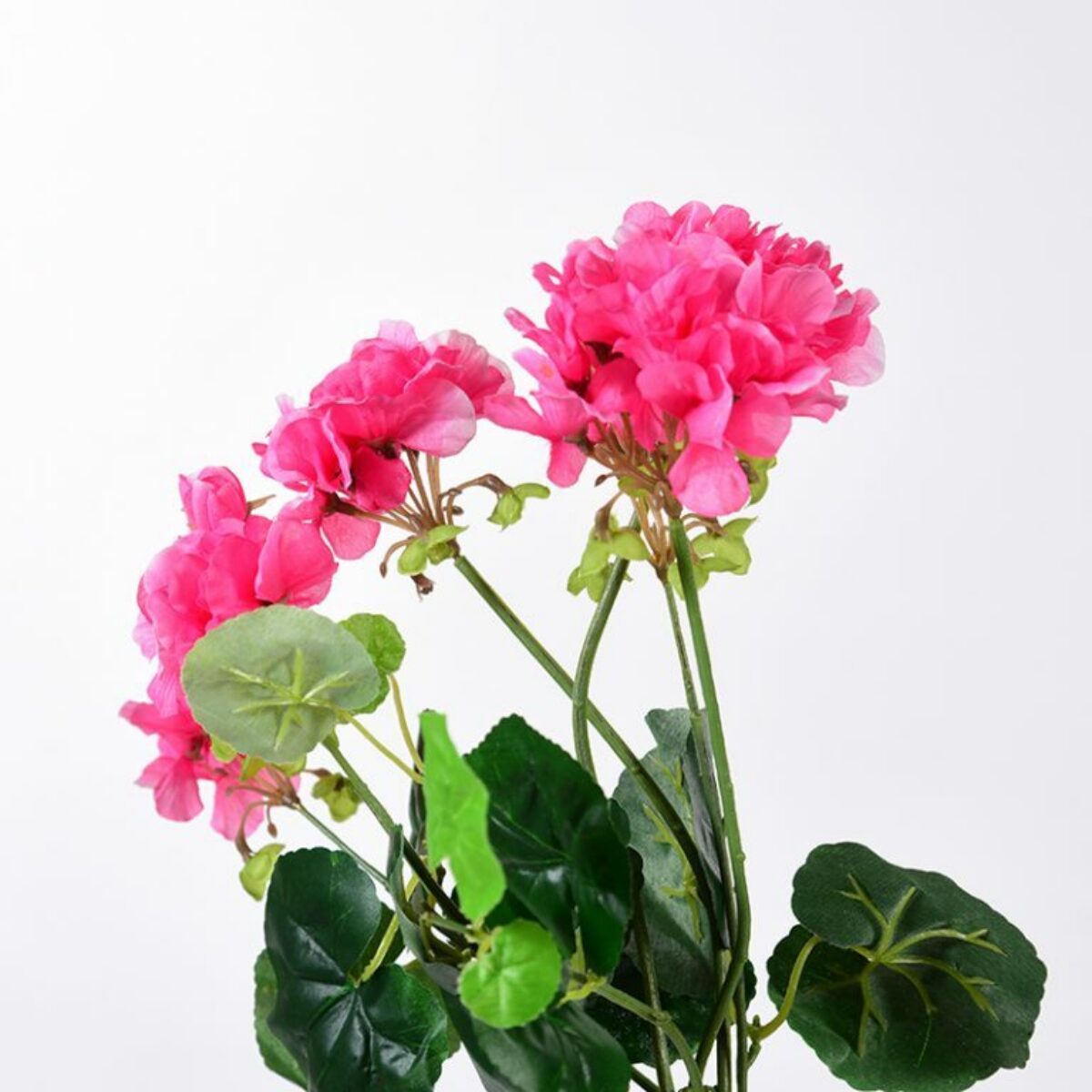 Pink Geranium Stems 50cm