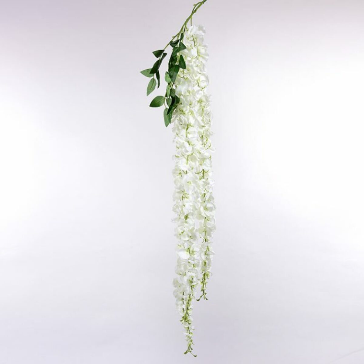 XL Cream Trailing Wisteria 100cm