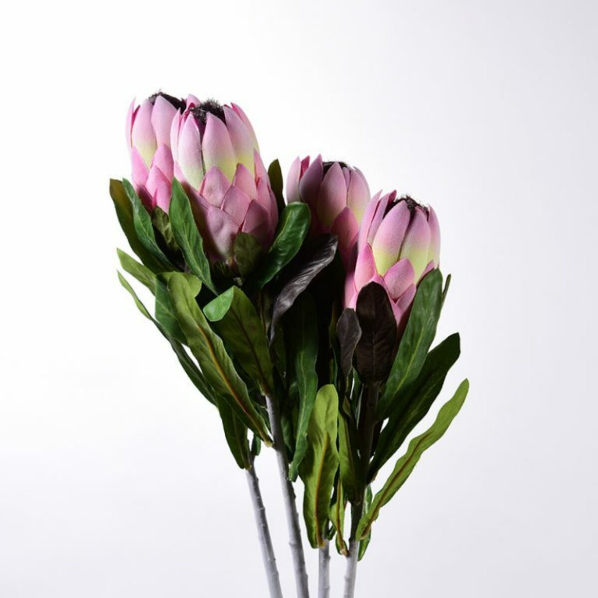 XL Pink Portea Stems 80cm