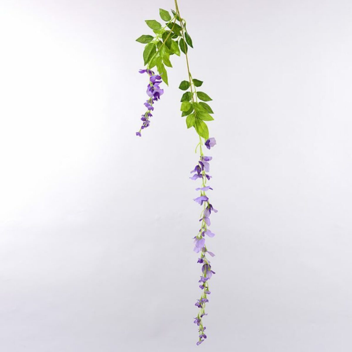 XL Purple Wisteria Trails 90cm