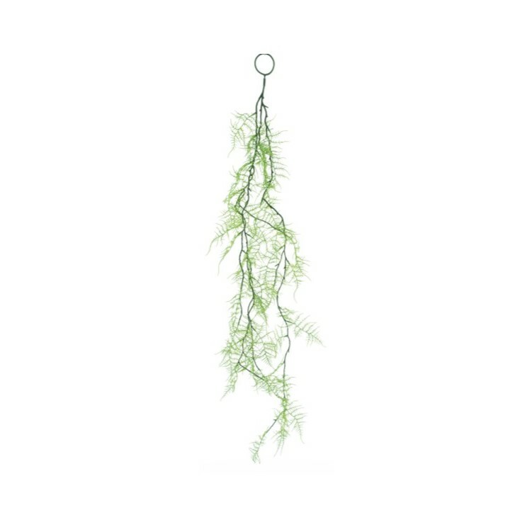 Asparagus Trail