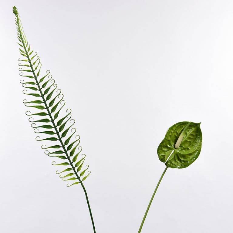 Botanical Foliage