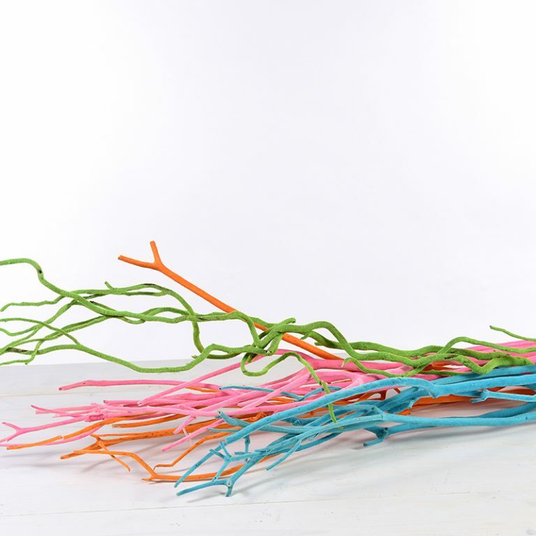 Flocked Salix Branches in Black, White, Lime, Orange, Pink & Turquoise