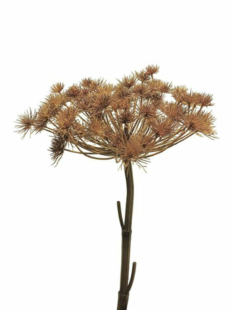 Giant Heracleum Grey & Brown