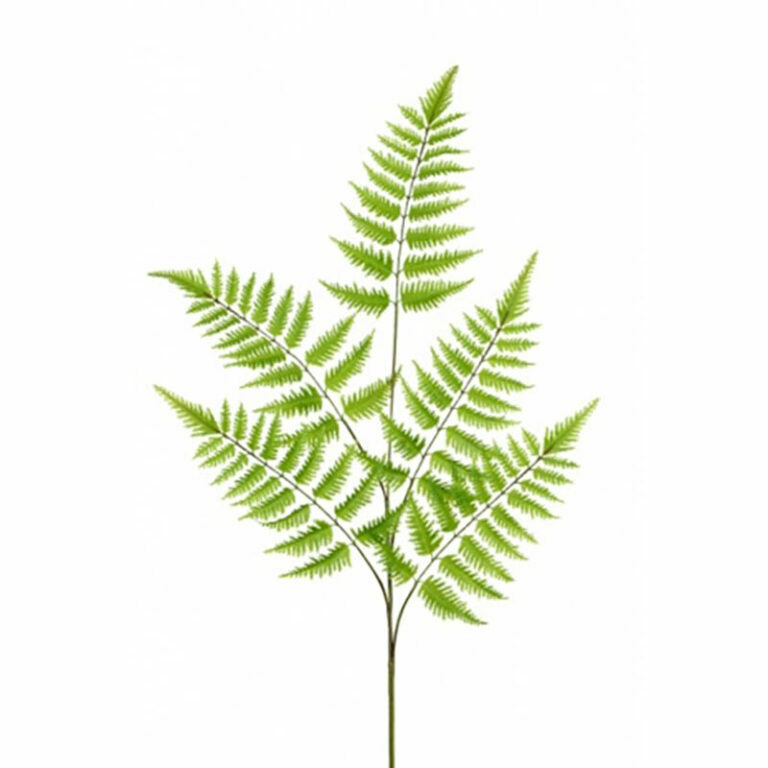 Leather Fern Spray