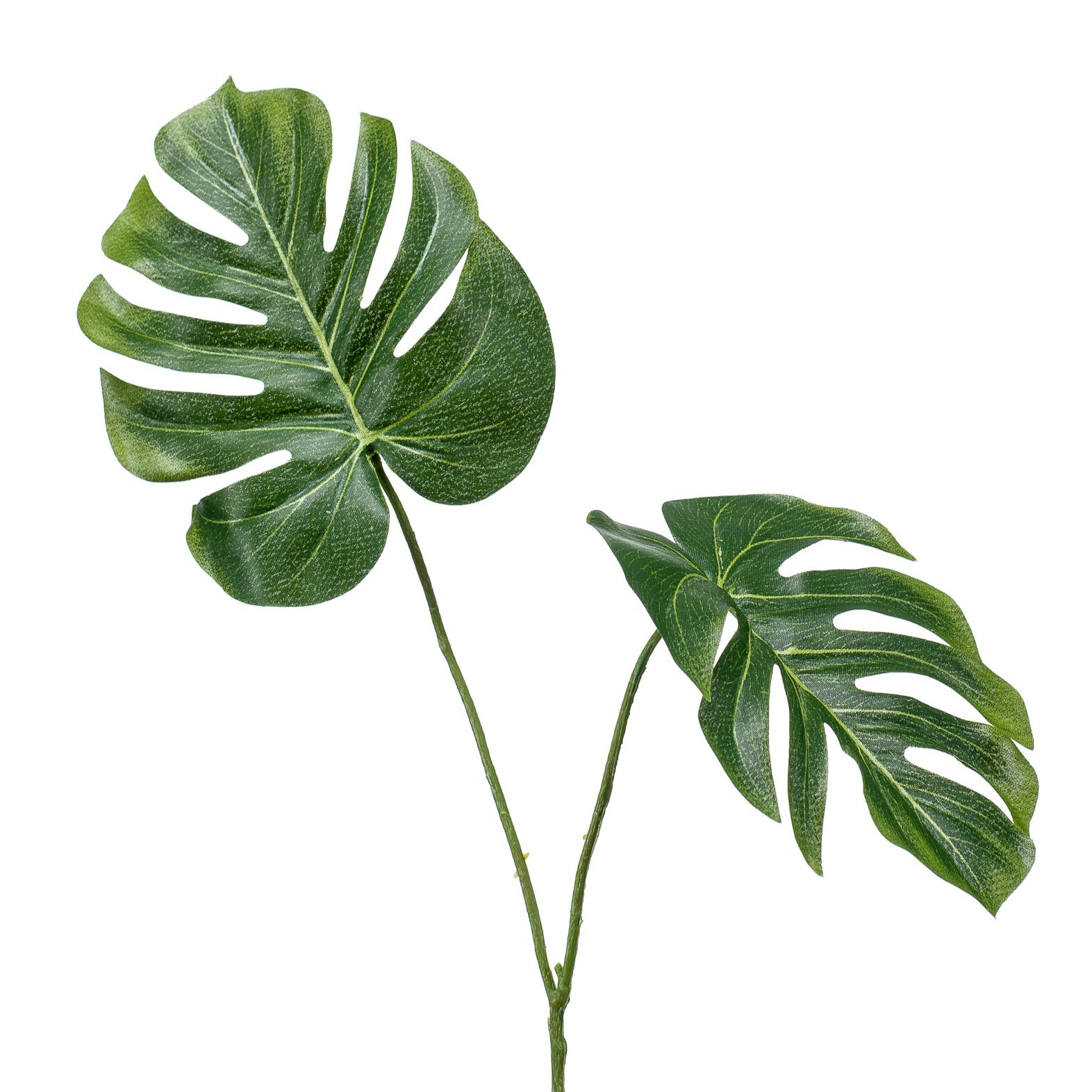 Monstera Leaf Spray
