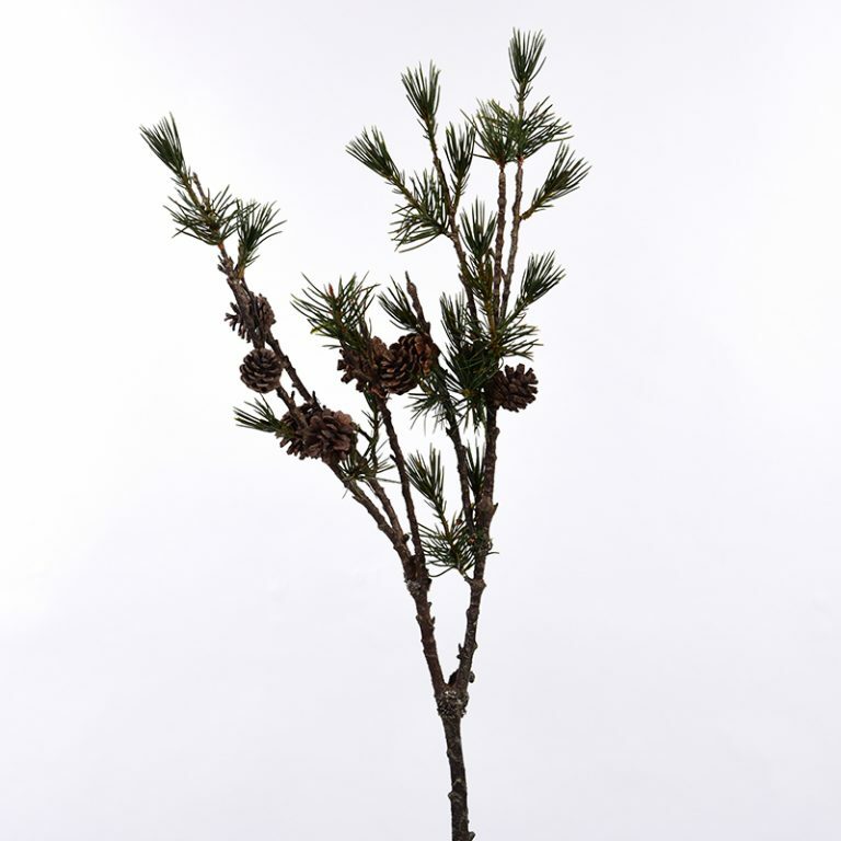 Pine Branch