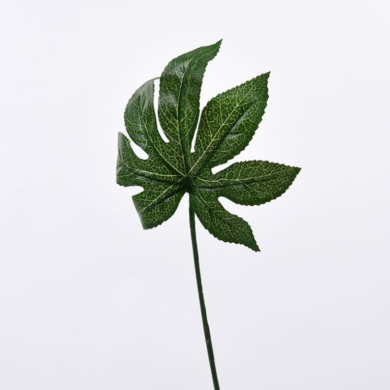 Silk Fatsia Leaf