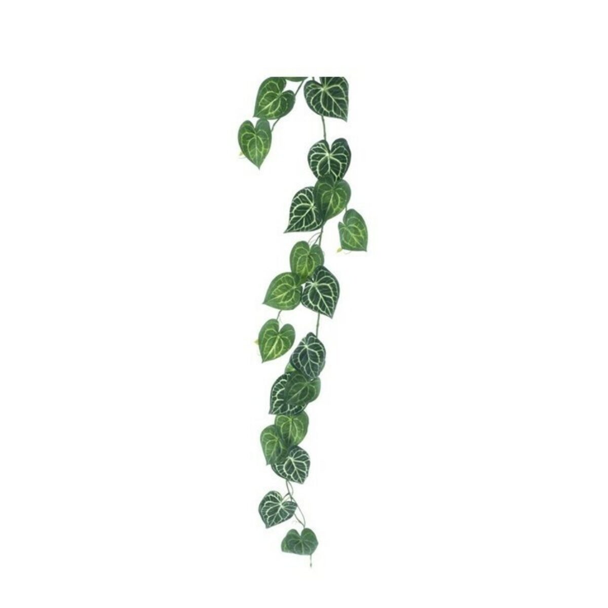 Anthurium green garland 150cm