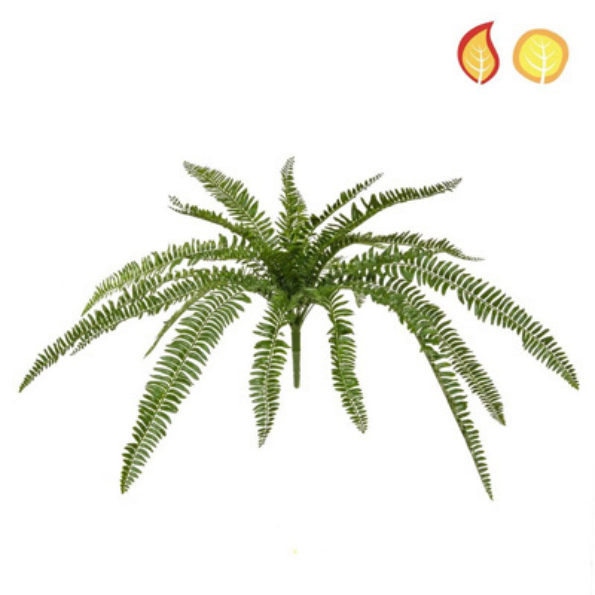 Boston Fern FR UV 70cm ref tl2927 1
