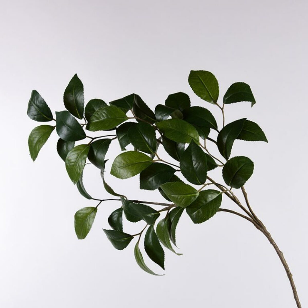 Camelia Leaf Branch 60cm