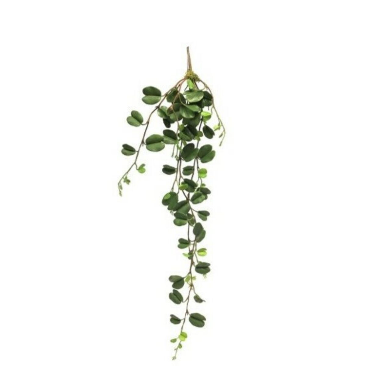 Double Leaf Garland 75cm