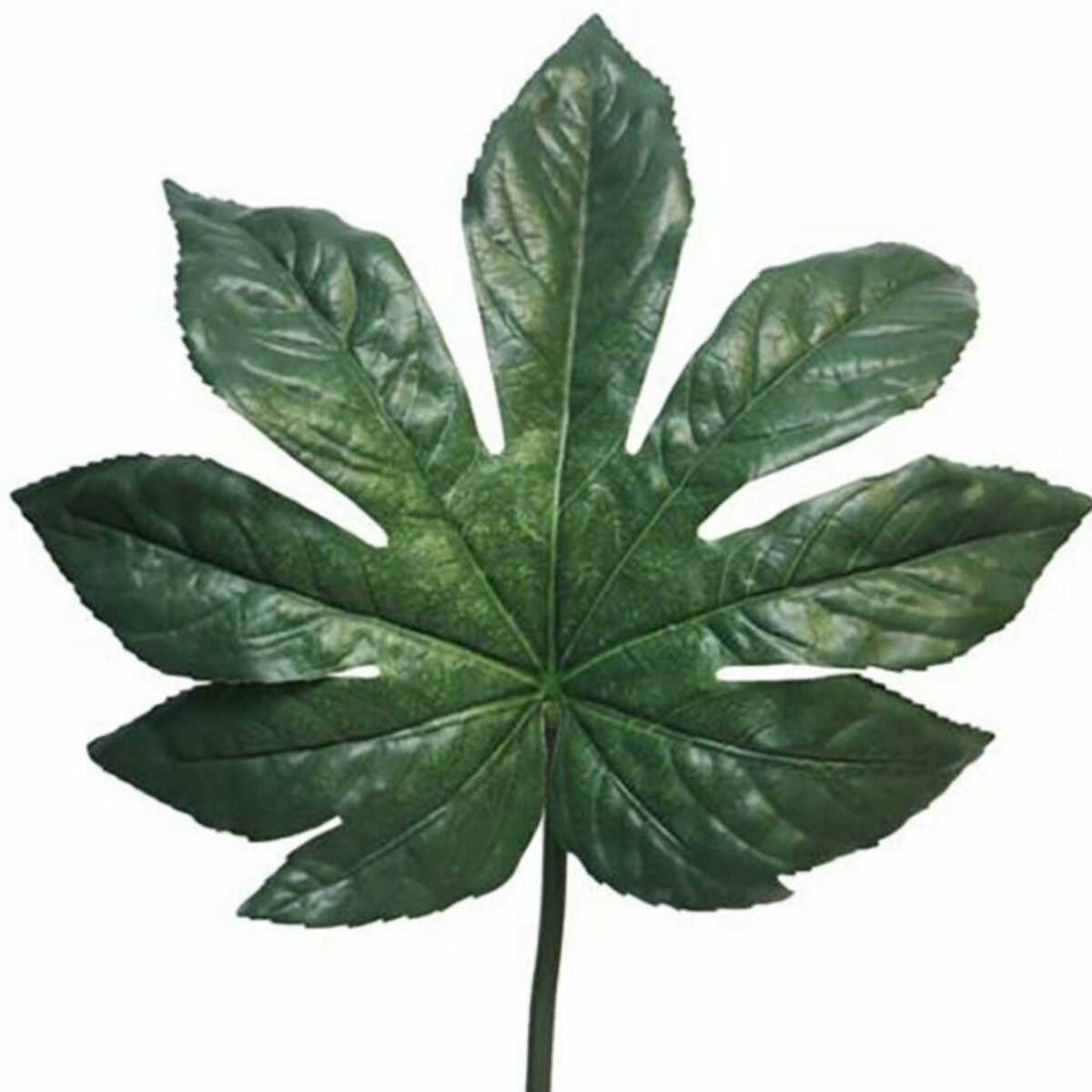 Fatsia Japonica Leaf 54cm ref 31255 768x1024