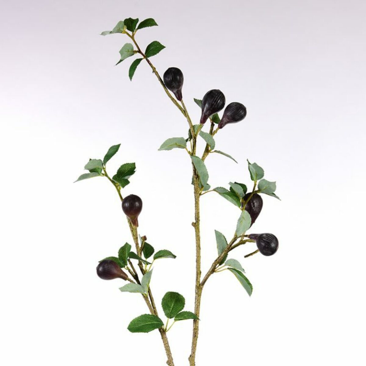 Fig Branch 90cm