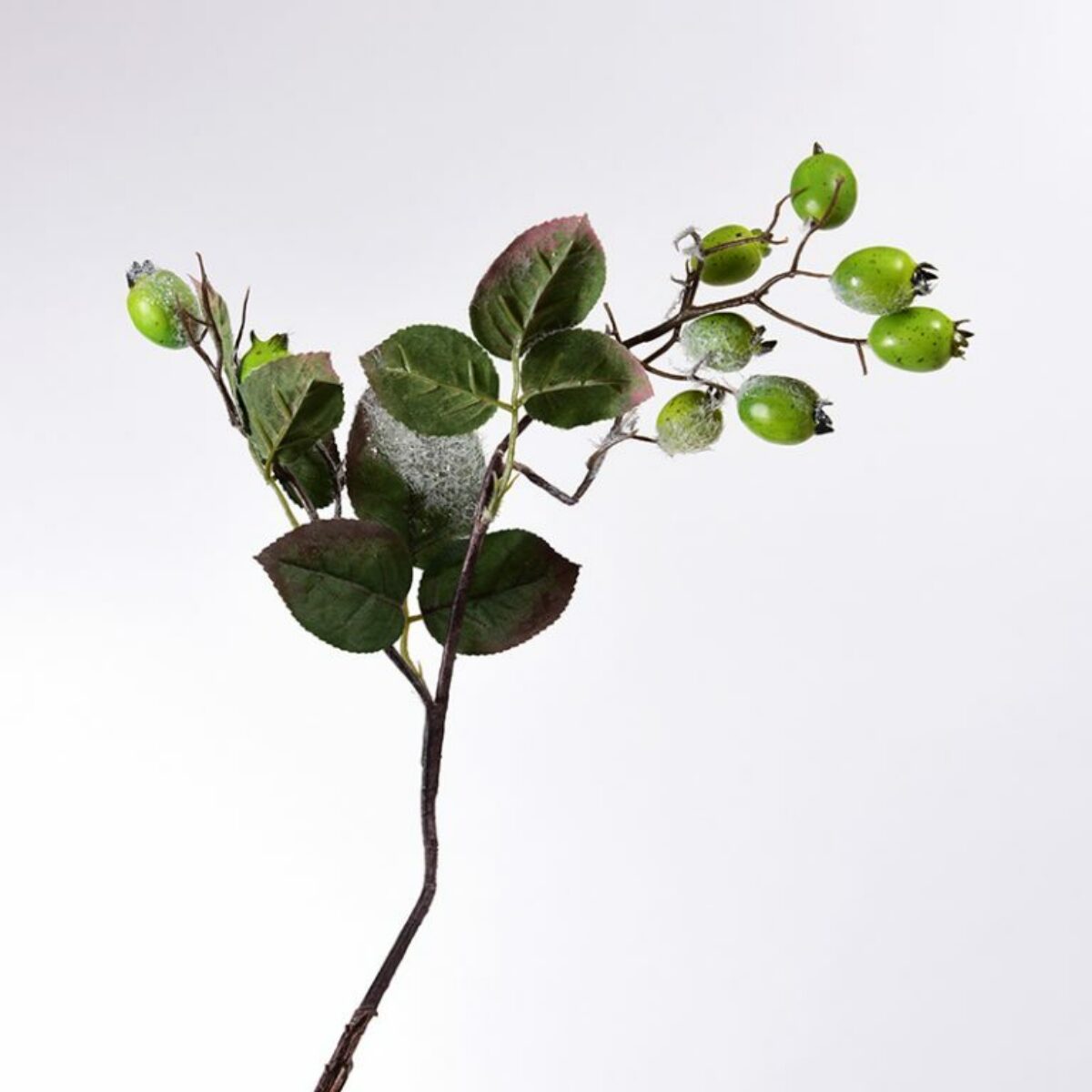 Green Rosehip Stem 70cm