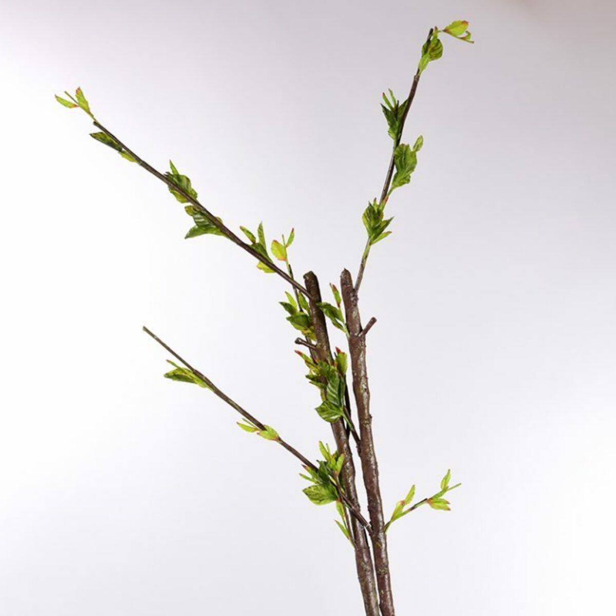 Green Shoots Twiggy Branch 95cm