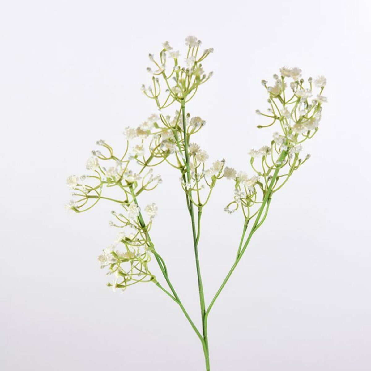 Ivory Gypsophelia Spray 70cm