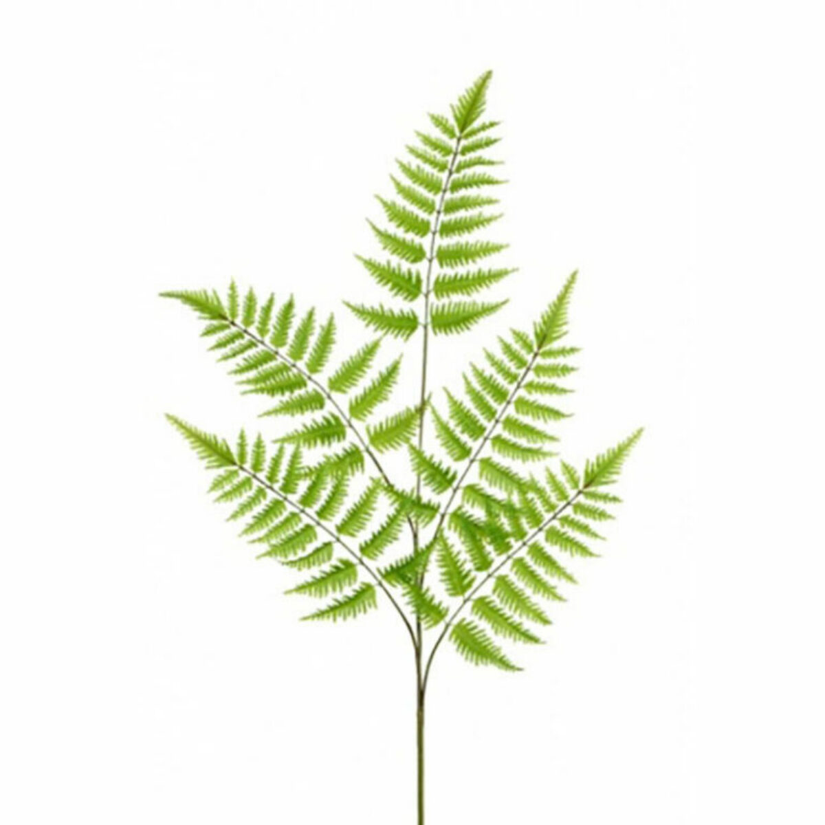 Leather Fern Spray x 5 106cm 01954 GR 1 768x768